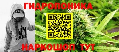 PSILOCYBIN Кунгур