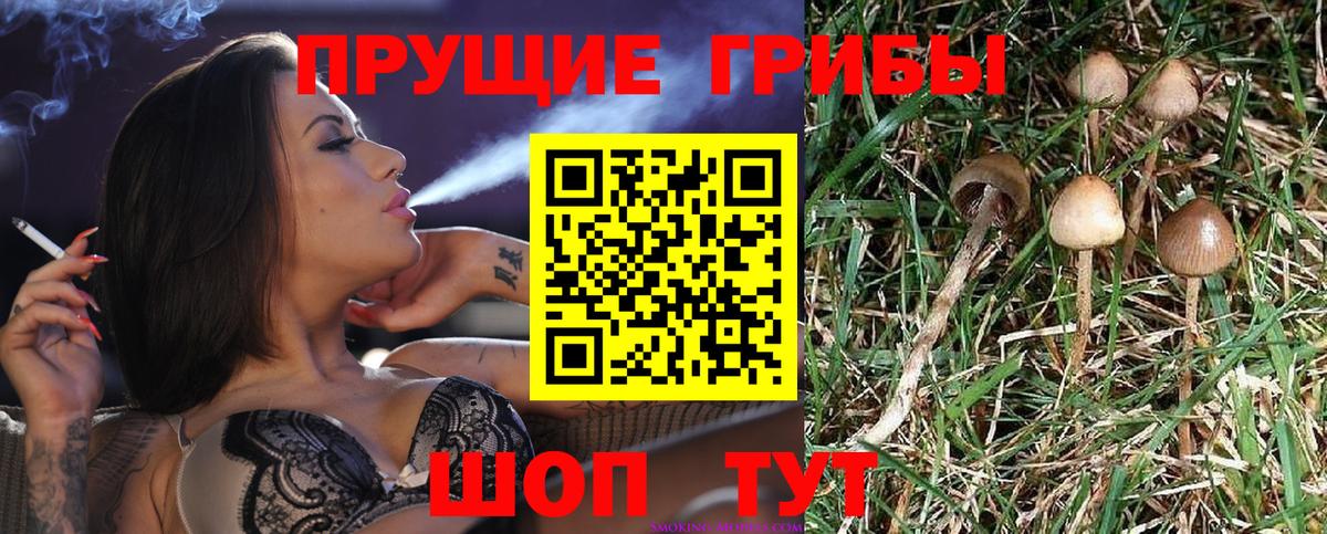Псилоцибиновые грибы Cubensis  Псилоцибиновые грибы ЛСД  Гусиноозёрск  Вход с VPN 